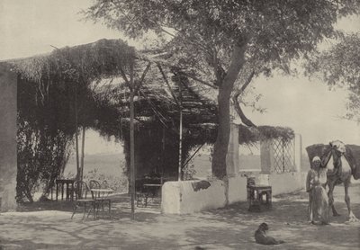 Café dans le jardin de la Vierge à Matariyeh, où Joseph a vécu - English Photographer
