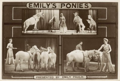 Emily Paulo et ses poneys dressés - English Photographer