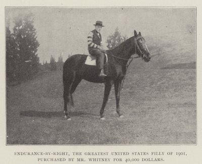 Endurance-by-Right, la plus grande pouliche des États-Unis de 1901, achetée par M. Whitney pour 40 000 dollars - English Photographer
