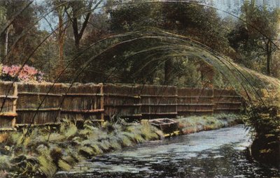 Fritton Decoy - English Photographer