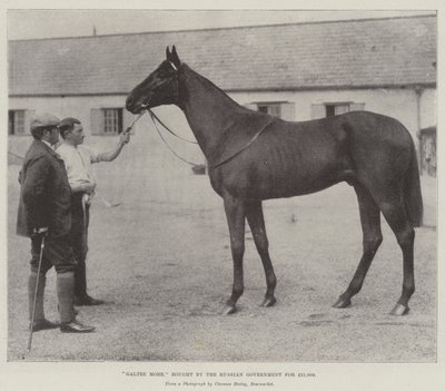 Galtee More, acheté par le gouvernement russe pour 21 000 £ - English Photographer