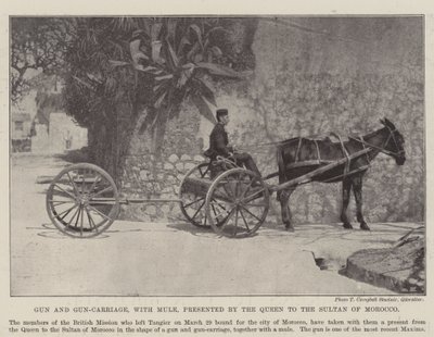 Canon et affût de canon, avec mule, offerts par la reine au sultan du Maroc - English Photographer