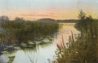 Hoveton Broad - English Photographer
