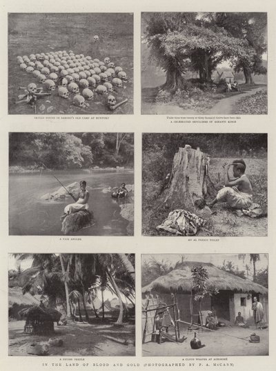 Au pays du sang et de l