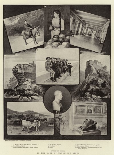 Dans le pays de la naissance de Napoléon - English Photographer