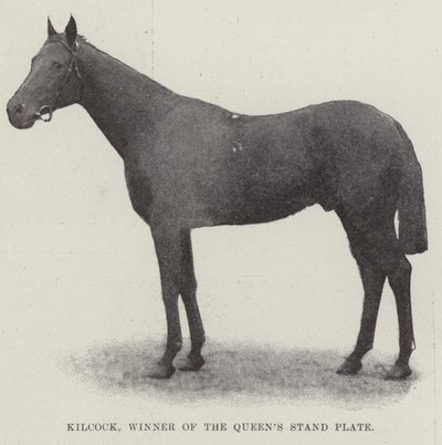 Kilcock, vainqueur de la Queens Stand Plate - English Photographer