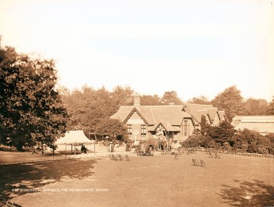 Zoo de Londres, les salles de rafraîchissement - English Photographer