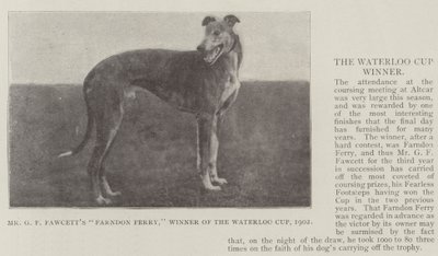 Farndon Ferry de M. G F Fawcett, vainqueur de la Waterloo Cup, 1902 - English Photographer