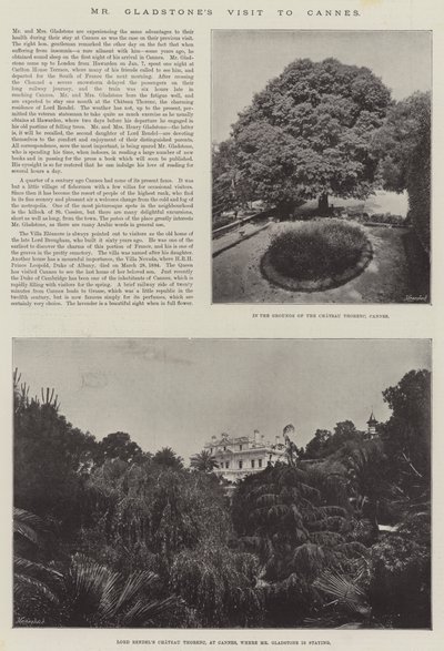 Visite de M. Gladstone à Cannes - English Photographer