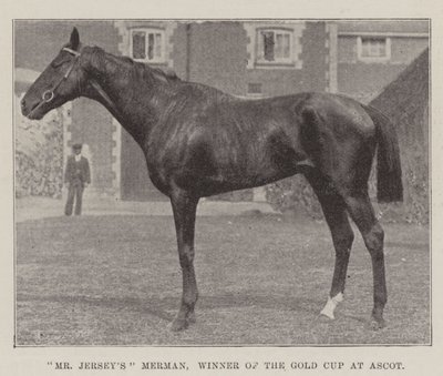 Le Merman de M. Jersey, vainqueur de la Gold Cup à Ascot - English Photographer
