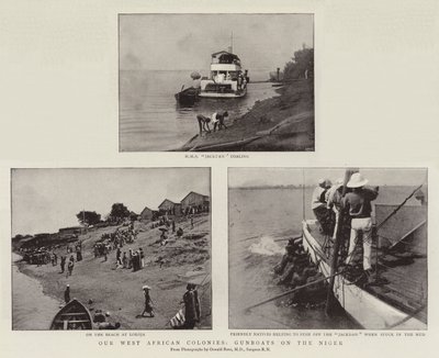 Nos colonies d