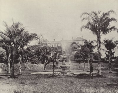 Palmiers et fontaine, jardins botaniques, Brisbane - English Photographer