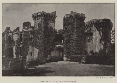 Château de Raglan, Monmouthshire - English Photographer