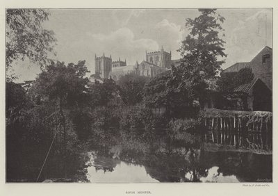 Minster de Ripon - English Photographer