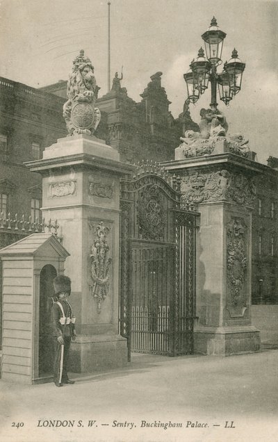 Sentinelle, Palais de Buckingham - English Photographer