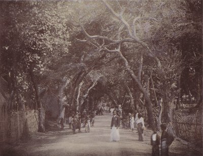 Route de Skinners, Colombo - English Photographer