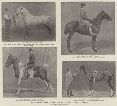 Quelques lauréats au Royal Dublin Horse Show - English Photographer