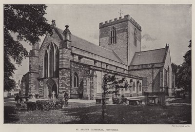 Cathédrale de St Asaph, Flintshire - English Photographer