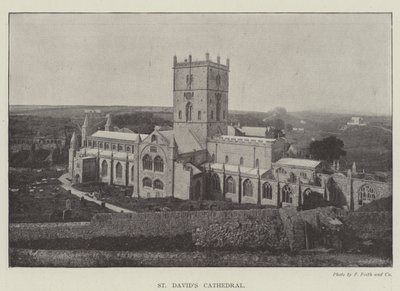 Cathédrale de Saint-David - English Photographer