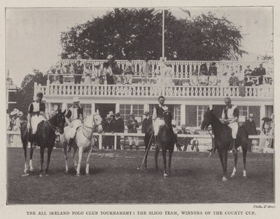 Le tournoi du All Ireland Polo Club, l