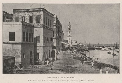 La plage à Zanzibar - English Photographer