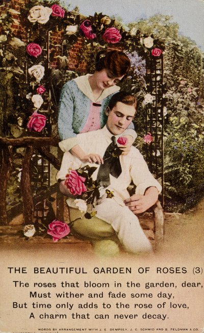 Le beau jardin de roses - English Photographer
