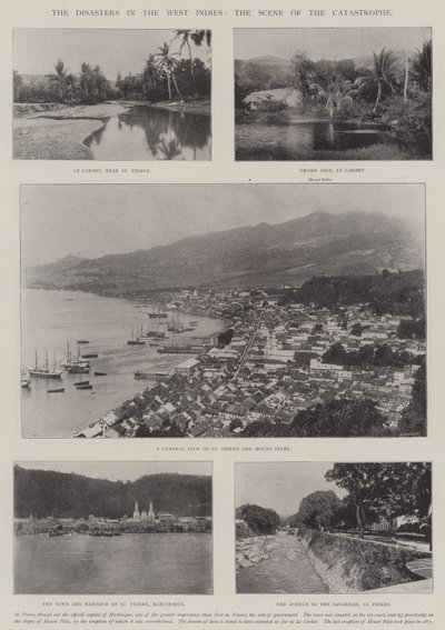 Les catastrophes aux Antilles, la scène de la catastrophe - English Photographer
