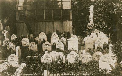 Cimetière des chiens, Hyde Park, Londres - English Photographer