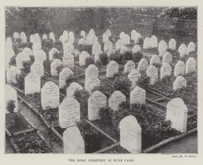Le cimetière des chiens à Hyde Park - English Photographer