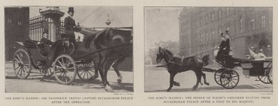 La maladie du roi - English Photographer