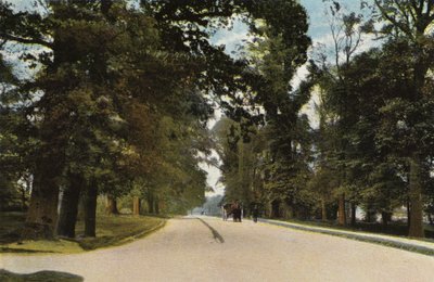 La Longue Avenue, Coventry - English Photographer
