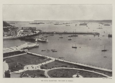 Les manœuvres navales, la flotte à Torbay - English Photographer