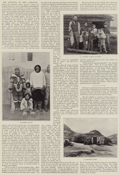 Les parias du Labrador - English Photographer