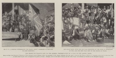 Le cadeau du prince de Galles aux Maoris, présentation d