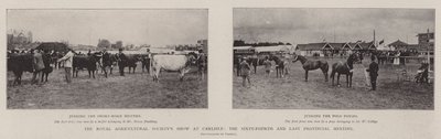Exposition de la Royal Agricultural Society à Carlisle, la soixante-quatrième et dernière réunion provinciale - English Photographer