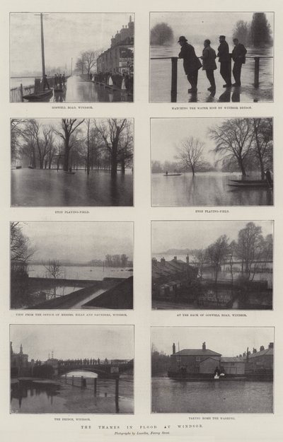 La Tamise en crue à Windsor - English Photographer
