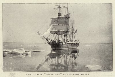 Le baleinier Belvedere dans la mer de Béring - English Photographer