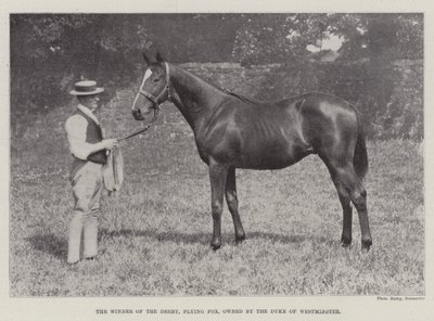 Le vainqueur du Derby, Flying Fox, propriété du duc de Westminster - English Photographer