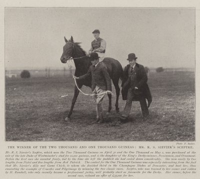 Le vainqueur des Two Thousand et One Thousand Guineas, Sceptre de M. R. S. Sievier - English Photographer