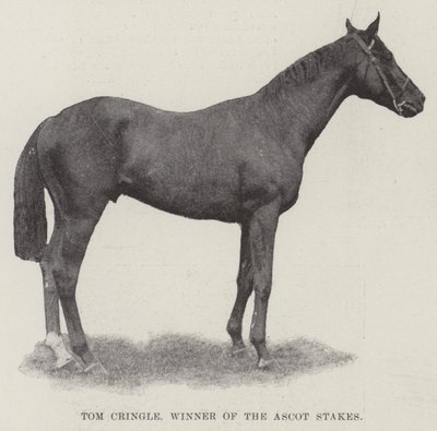 Tom Cringle, vainqueur des Ascot Stakes - English Photographer