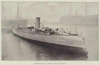 Torpilleur n° 79, avec la flotte à Spithead - English Photographer