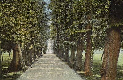 Collège Trinity, l