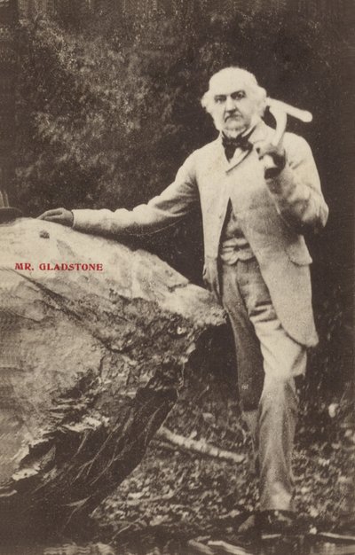William Ewart Gladstone - English Photographer