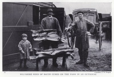Côtés de bacon de Wiltshire salés à la ferme dans une dépendance - English Photographer