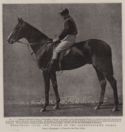 Winkfields Pride, le vainqueur des Cambridgeshire Stakes - English Photographer