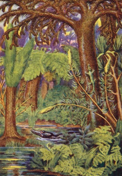 Une forêt de charbon (lithographie couleur) - English School