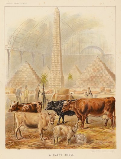 Une exposition laitière - English School