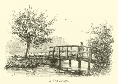 Passerelle - English School