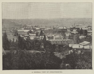 Vue générale de Johannesburg (gravure) - English School