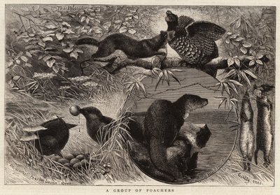 Un groupe de braconniers (gravure) - English School